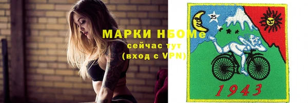 индика Бердск