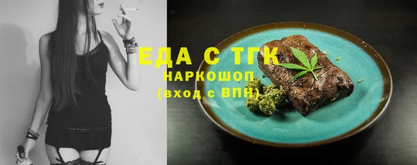 индика Бердск