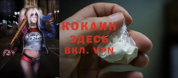 индика Бердск