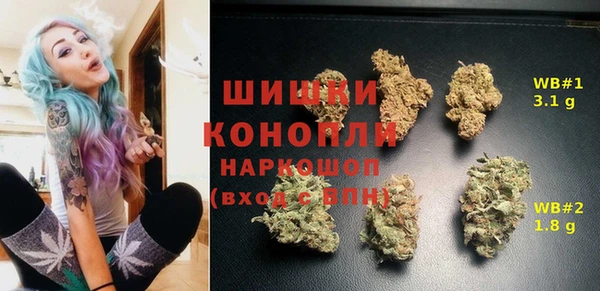 индика Бердск