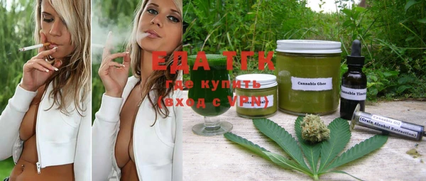 индика Бердск