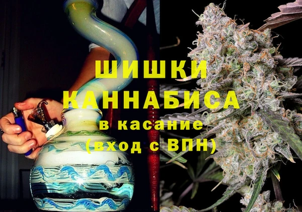 индика Бердск