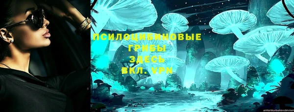 apvp Алапаевск